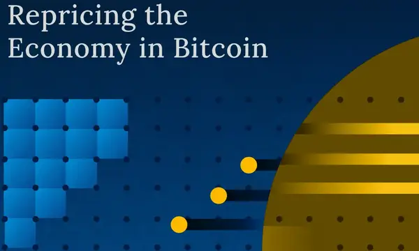 cover of repricing the economy in bitcoin